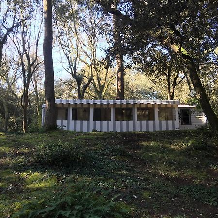 Mobilhome Familial 6 A 7 P 3 Chambres 42 M2 Saint Brevin Les Pierres Couchees מראה חיצוני תמונה