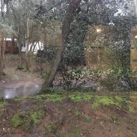 Mobilhome Familial 6 A 7 P 3 Chambres 42 M2 Saint Brevin Les Pierres Couchees מראה חיצוני תמונה