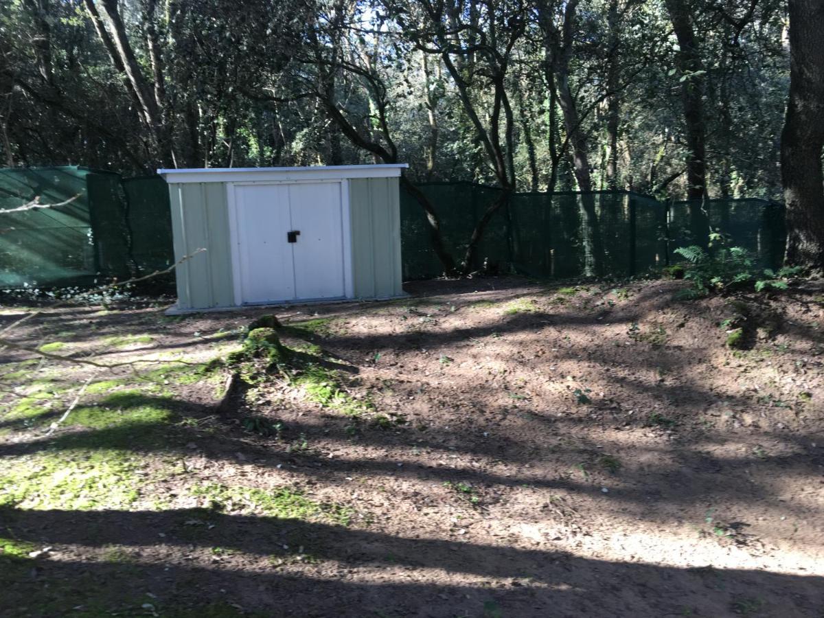 Mobilhome Familial 6 A 7 P 3 Chambres 42 M2 Saint Brevin Les Pierres Couchees מראה חיצוני תמונה