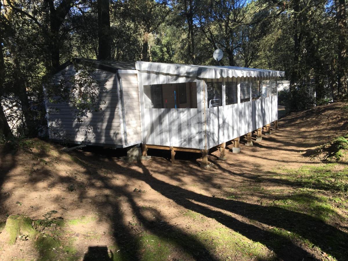 Mobilhome Familial 6 A 7 P 3 Chambres 42 M2 Saint Brevin Les Pierres Couchees מראה חיצוני תמונה